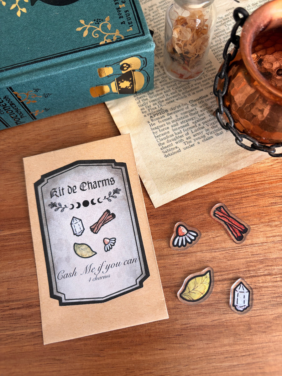 Charms Kit - Cash Me If You Can (Potion Me!)