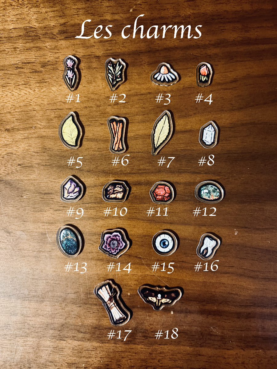 Charms Kit - Protect Me (Potion Me!)