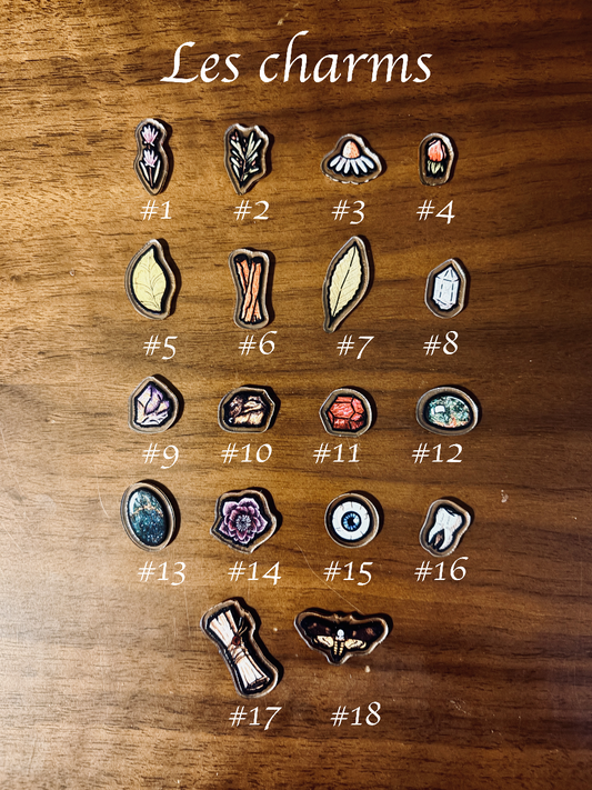 Charms Kit - Protect Me (Potion Me!)