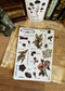 Botanical Sticker's sheet