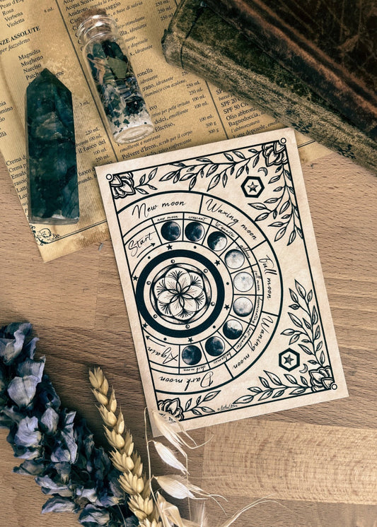 "Moon Phasesr" illustration